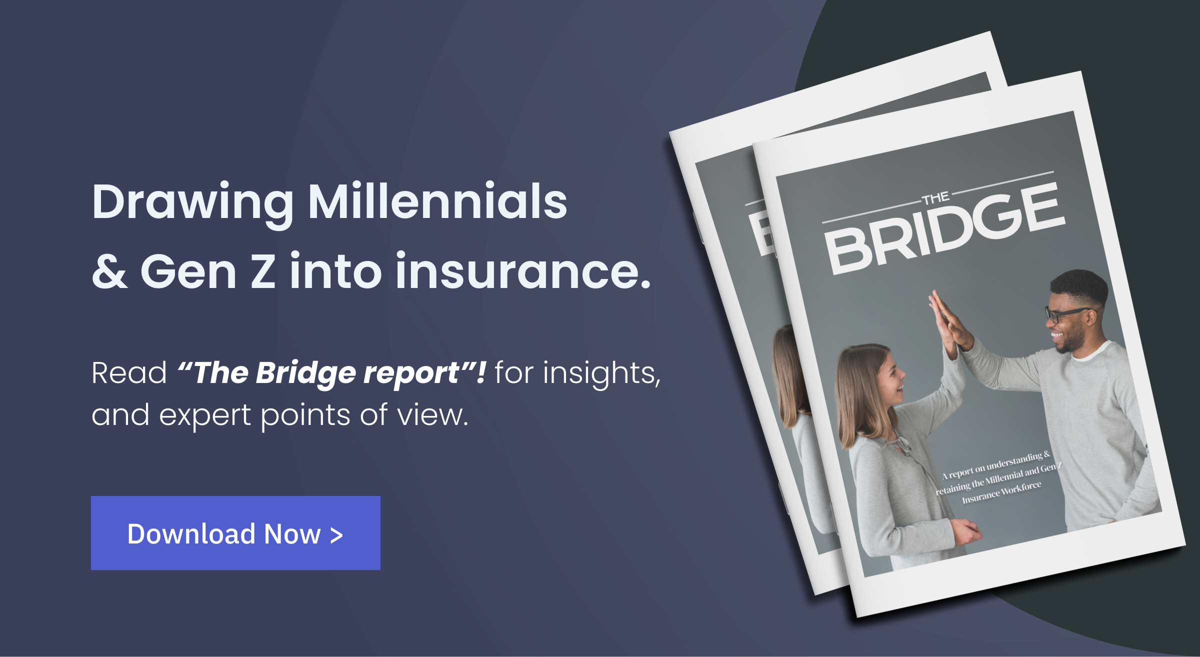 bridge report